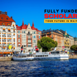 The Swedish Institute Scholarships