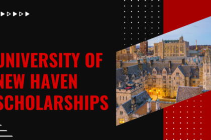 University of New Haven Scholarships